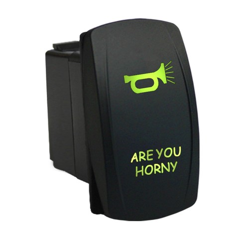 Rocker switch 12v - rocker, 657gm