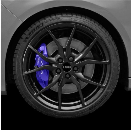 Violet purple brake - (et),