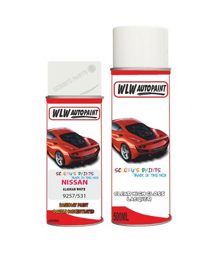 Paint spray for nissan - paint,